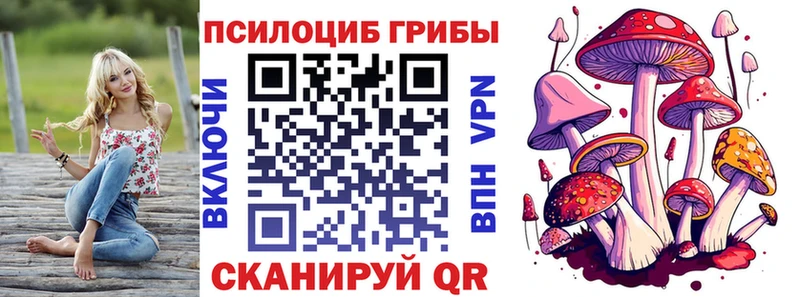 Галлюциногенные грибы мицелий  купить   Шенкурск 