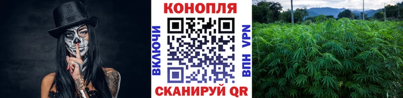 как найти закладки  Шенкурск  Марихуана Bruce Banner 